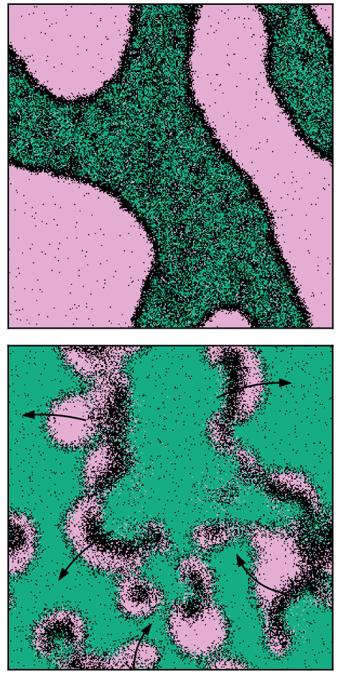 Two-population Schelling model